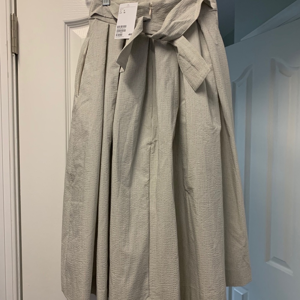H&M skirt